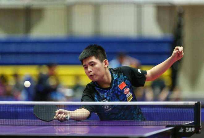 塞维利亚目 塞维利亚目