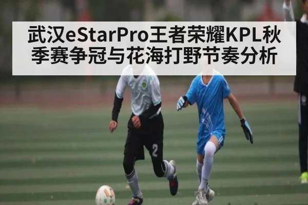 武汉eStarPro王者荣耀KPL秋季赛争冠与花海打野节奏分析